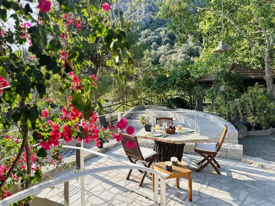 Elia Junior Suite In Epidavros With Shared Pool Неа-Епідаврос Екстер'єр фото